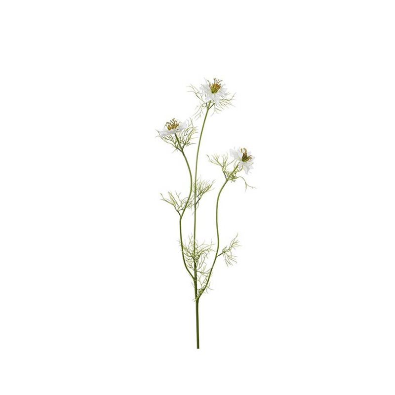 Nigella 63 cm