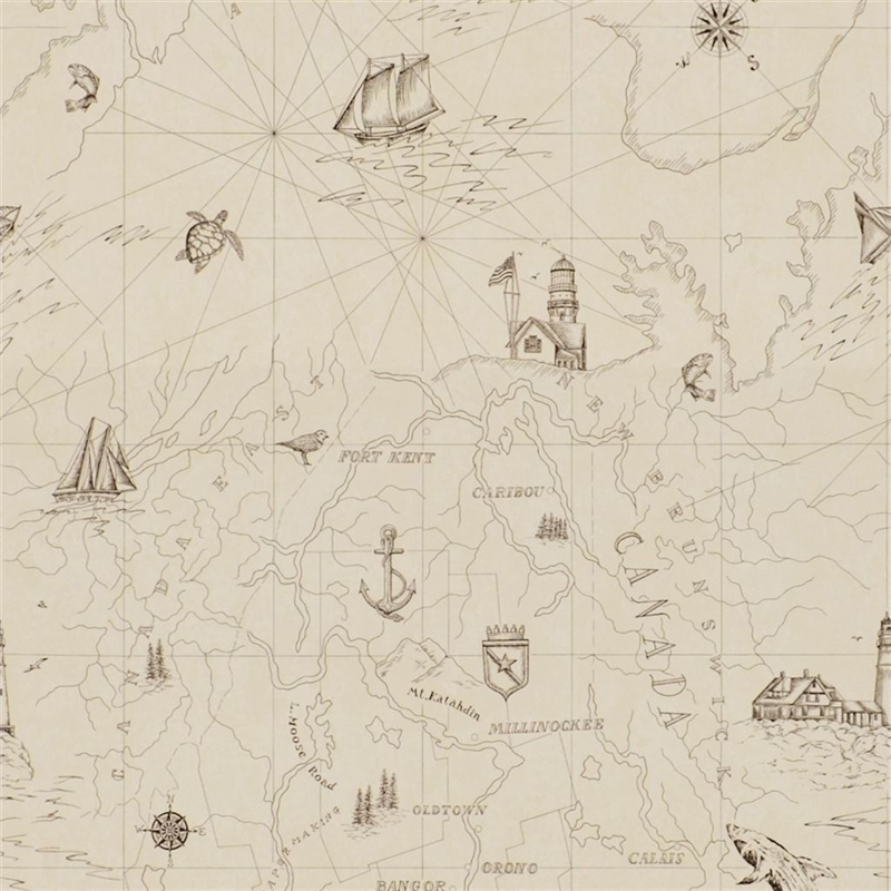 Shipping Lanes Map Bone