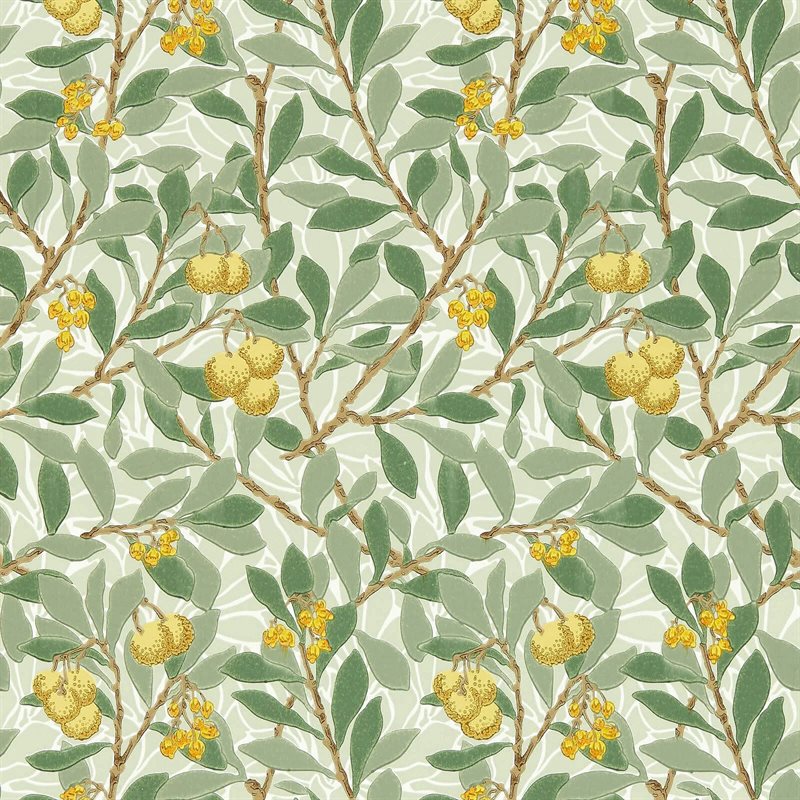 Arbutus Sage/Lemon