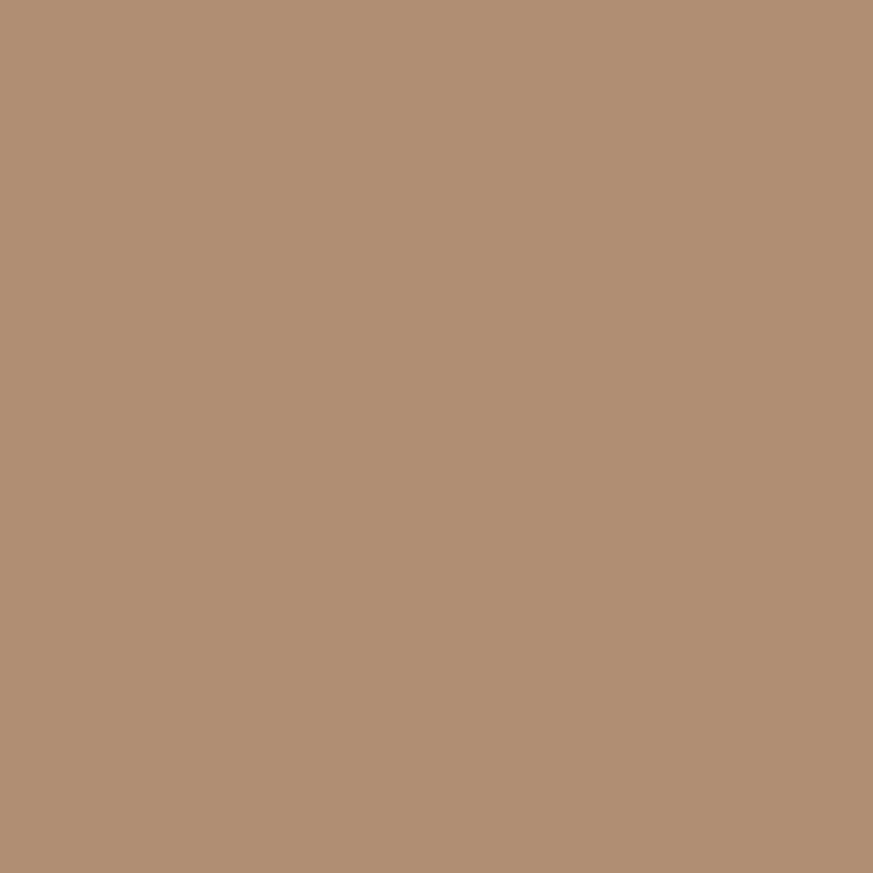 221-28-Qvintus-brun