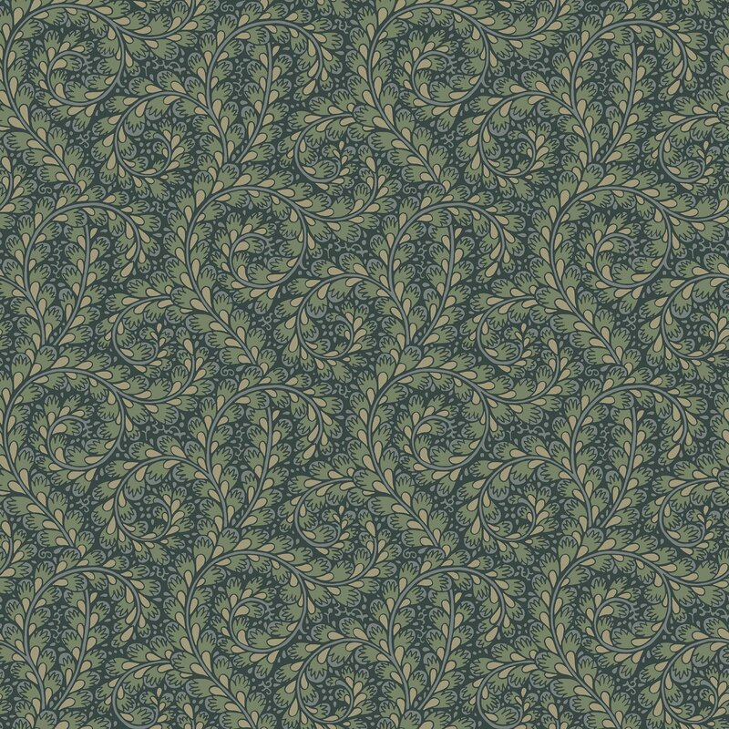 2258_Wild-Fernes_Closeup