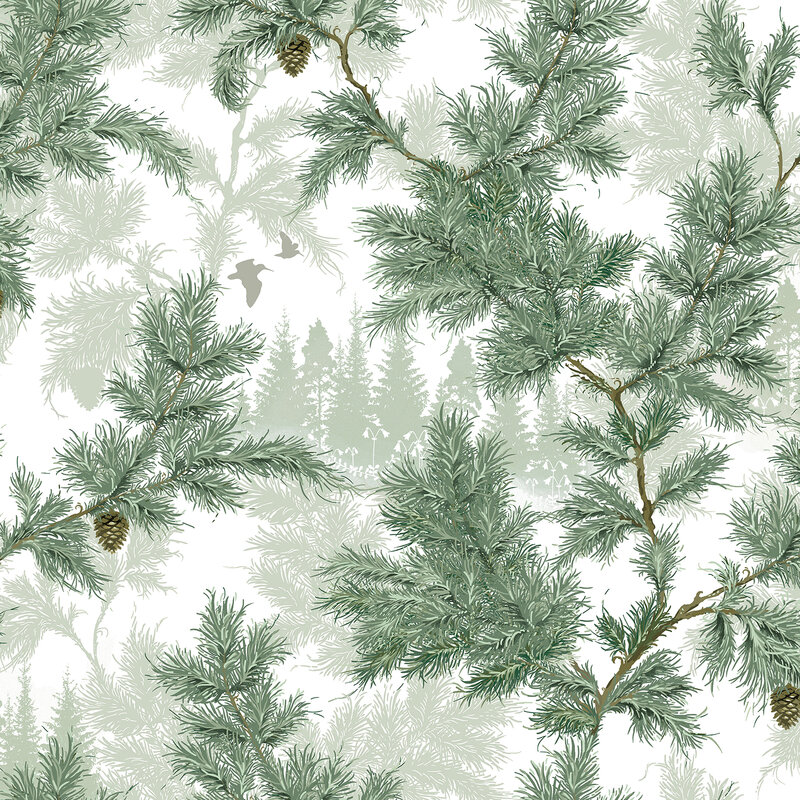 434-01-Sommarglantan