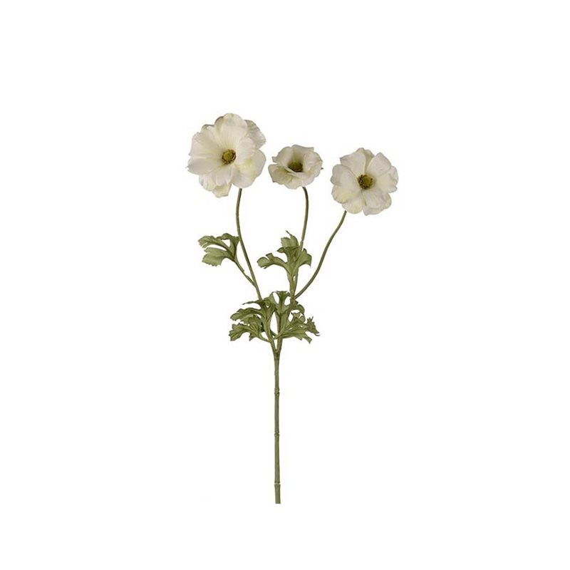 Fjärilsranuncel 54 cm