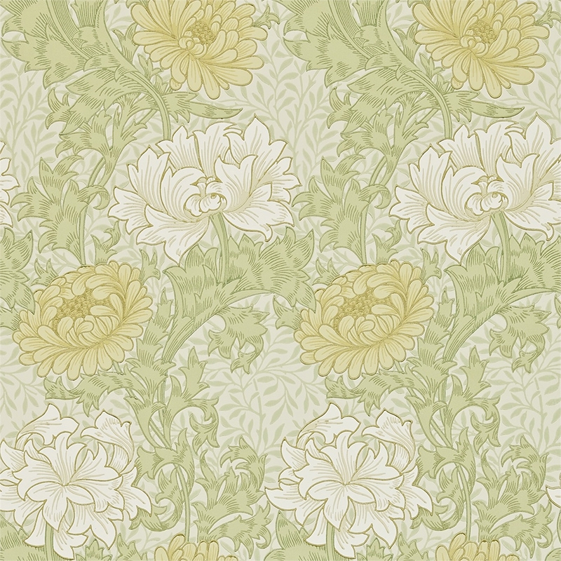 Chrysanthemum Pale Olive