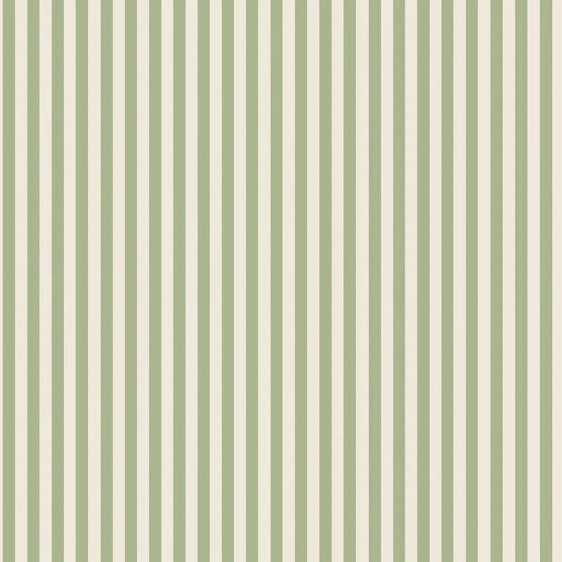 5734_MolleStripe_Closeup