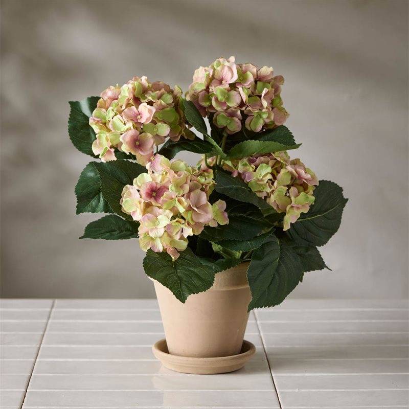 Hortensia 37 cm