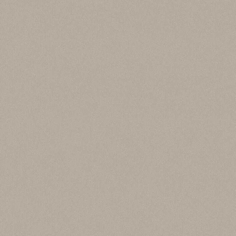 7575_Shell-Sand_Closeup