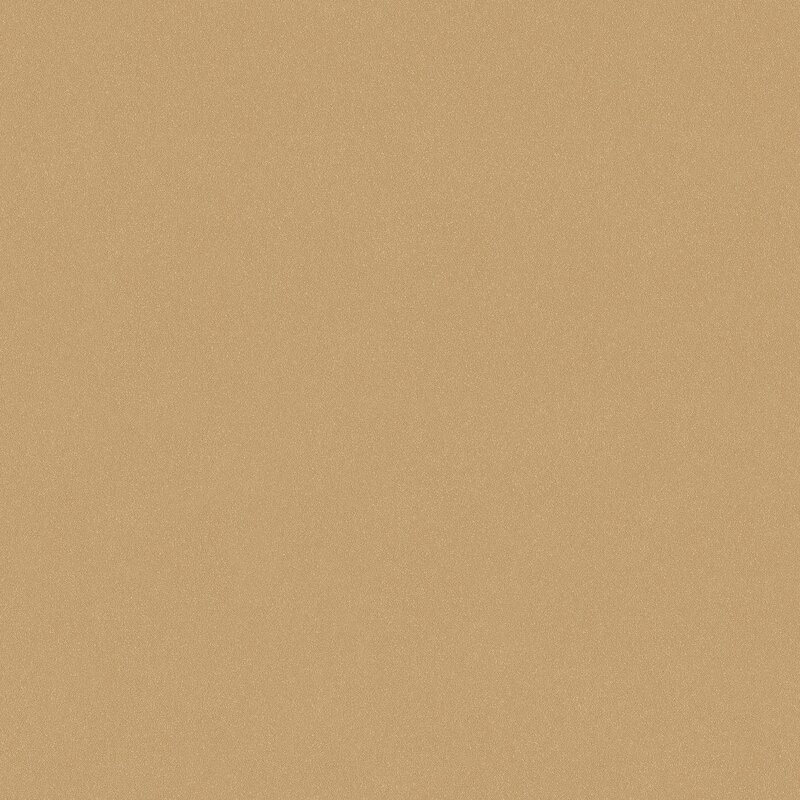 7580_Desert-Sand_Closeup