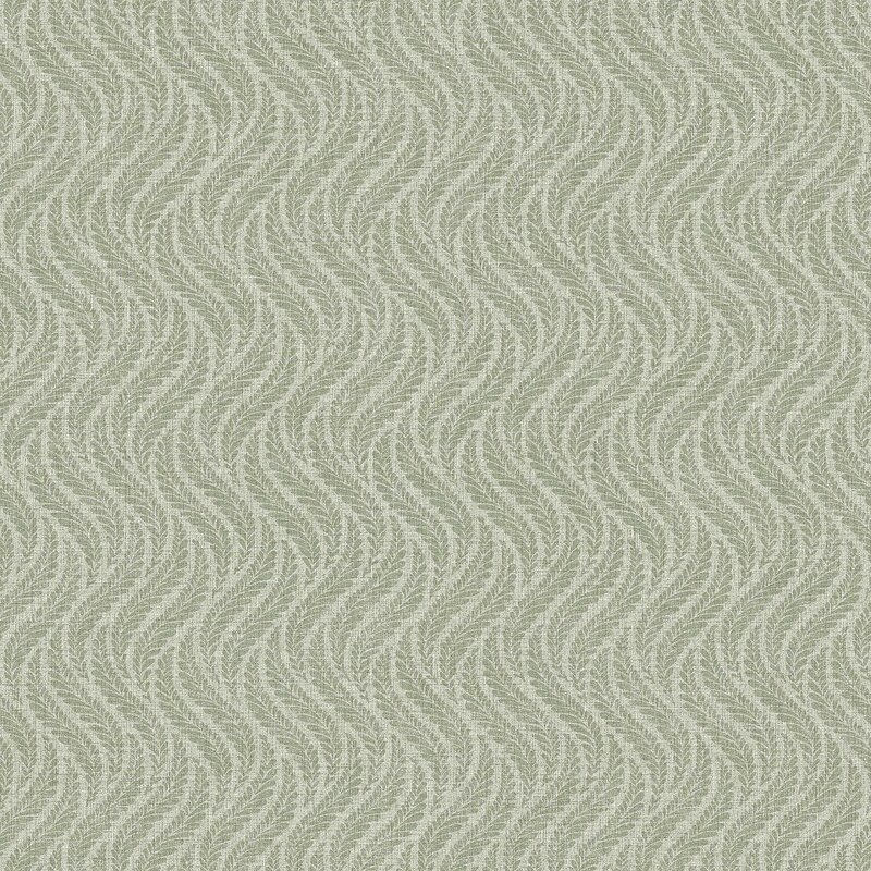 7772_LittleFern_Closeup