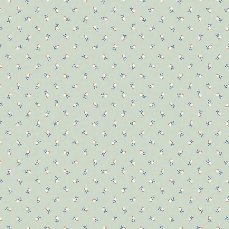 7782_PetiteChérie_Closeup