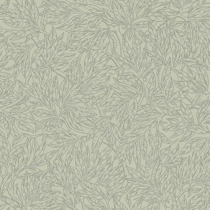 7787_SalixAlba_Closeup
