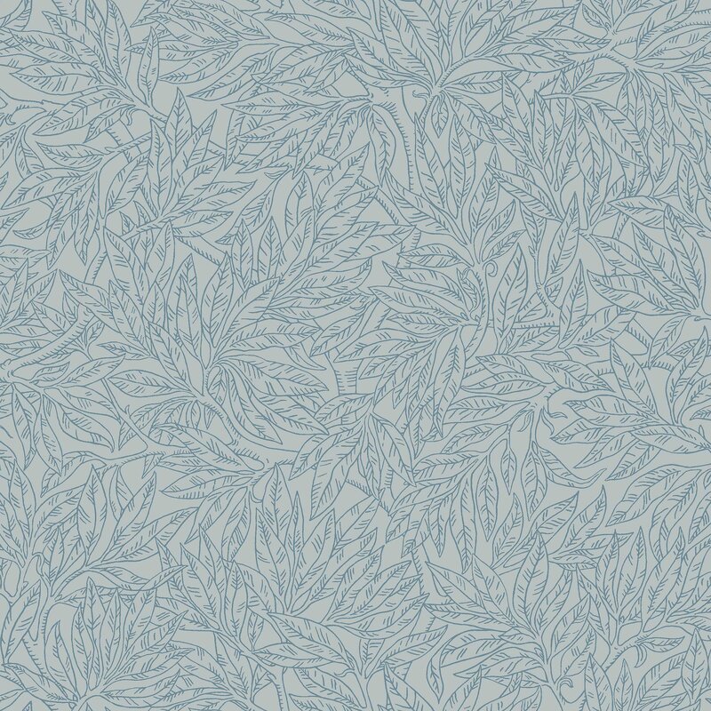 7788_SalixAlba_Closeup