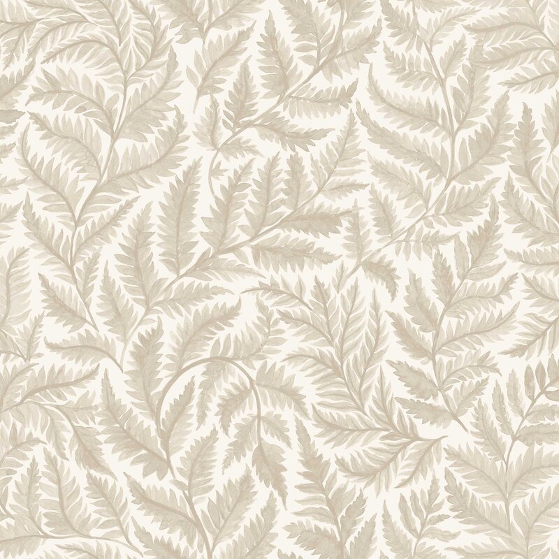 7789_Ferns_Closeup