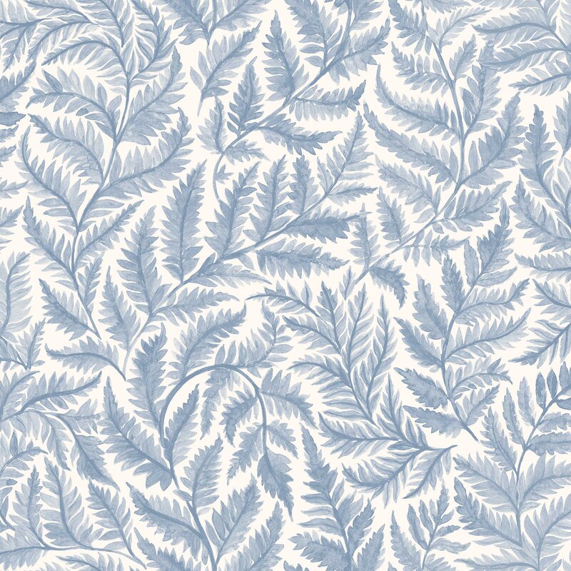 7790_Ferns_Closeup
