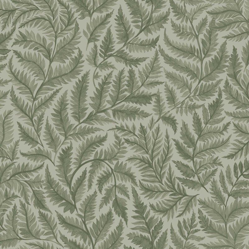 7792_Ferns_Closeup