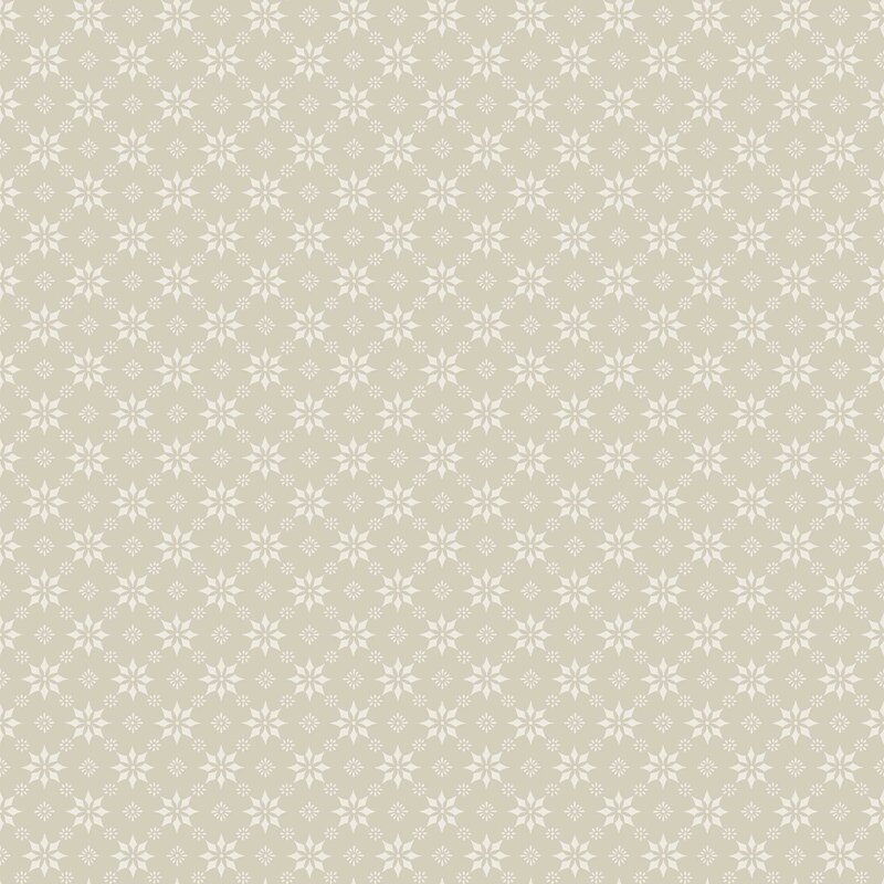8068_Stella_Closeup