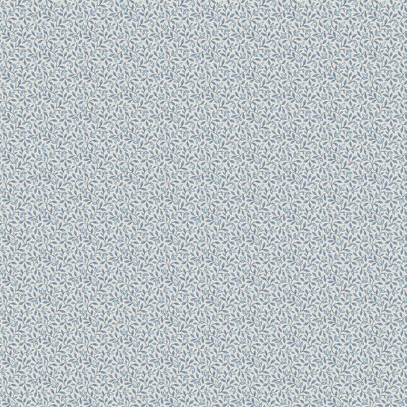 8180_Ida_Closeup