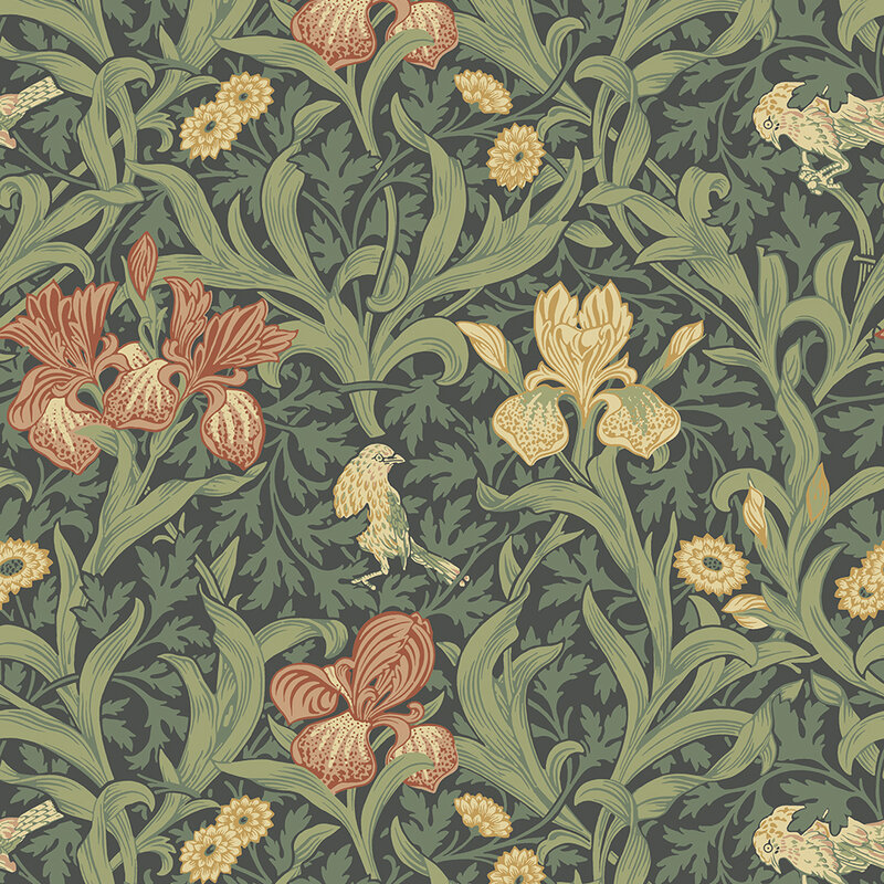 82051-MIDBEC-IRIS-rod-gul