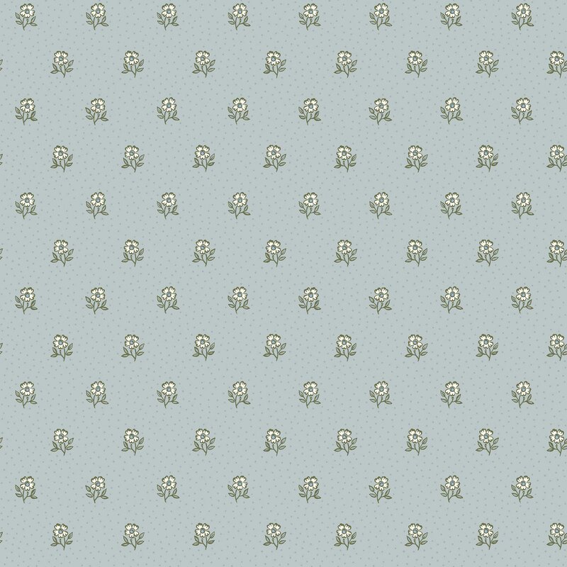 8728_Déesiré_Closeup