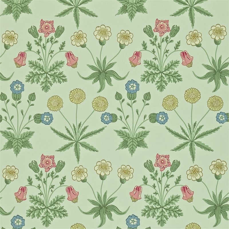 Daisy Pale Green/Rose