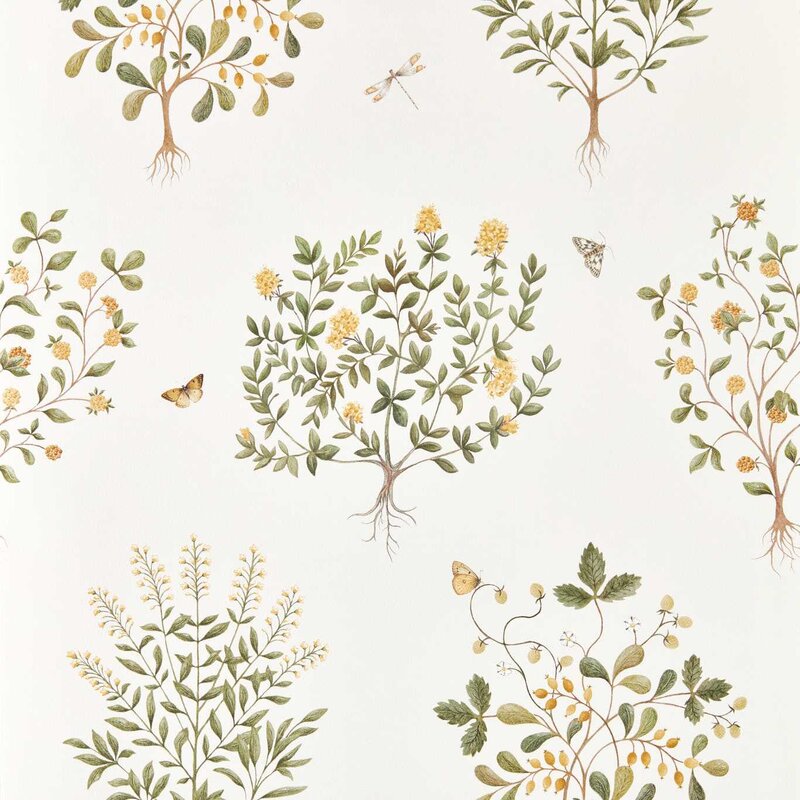 DHIP217508-Thyme-Walk-Lichen-Gooseberry