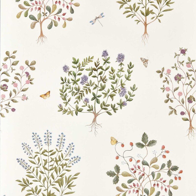 DHIP217509-Thyme-Walk-Damson-Quince