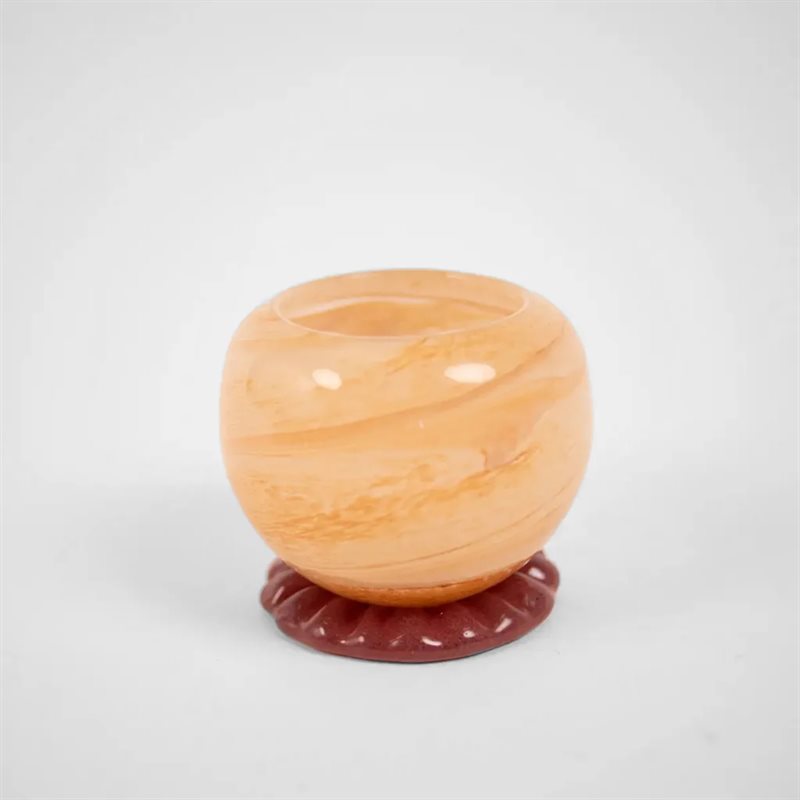 Cosmos ljuslykta persika