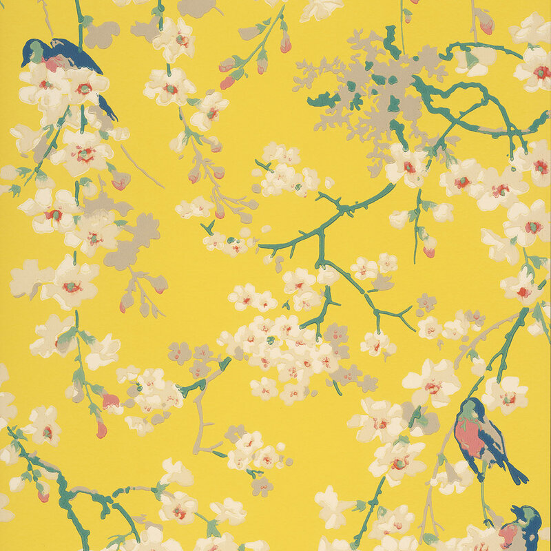 Little-Greene-Massingbird-Blossom-Yellow-0260MAYELLO-2