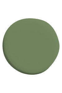 Vintage Paint Olive Green