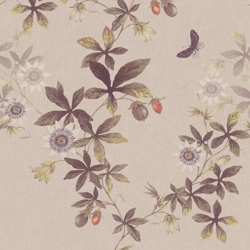 Passiflora-monster-narbild-RGB-kvadrat