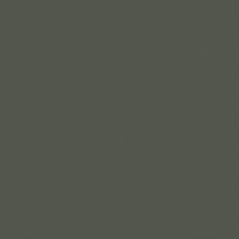 Pompeian Ash 293