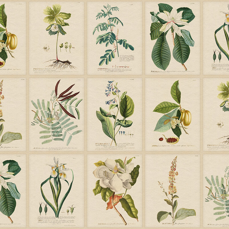 S10598_Flora_Green_Sandberg-Wallpaper