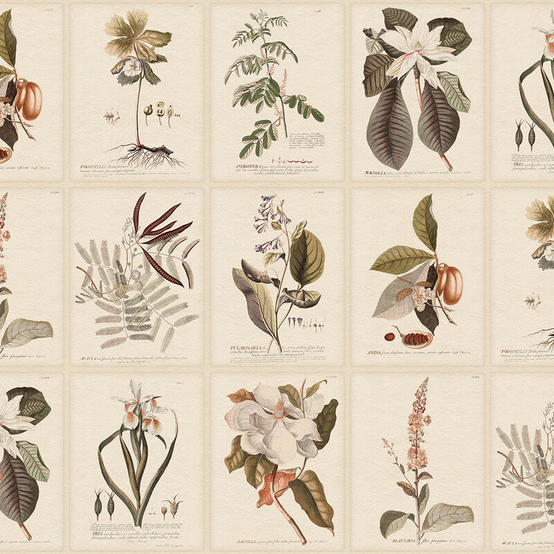 S10599_Flora_Sepia_Sandberg-Wallpaper