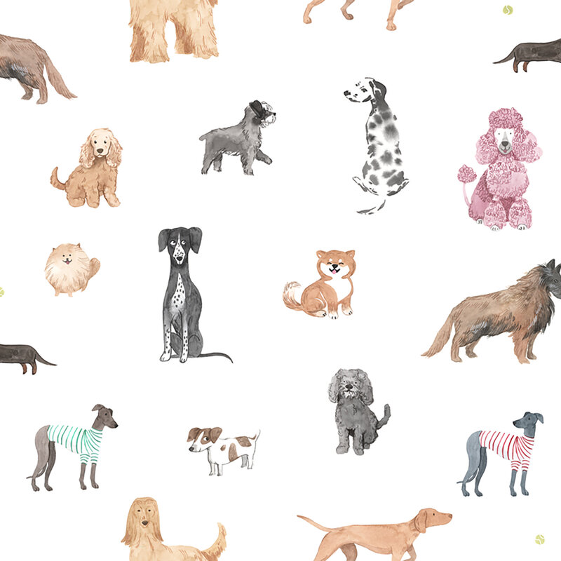 S10704_Taiga-and-Friends_White_Sandberg-Wallpaper