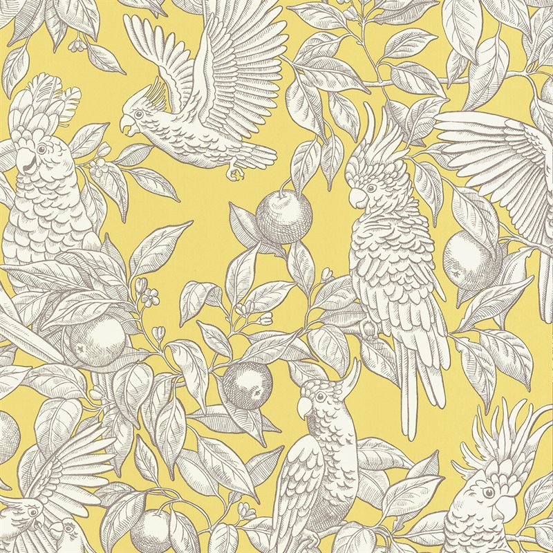 Talk about Cockatoos Lemon