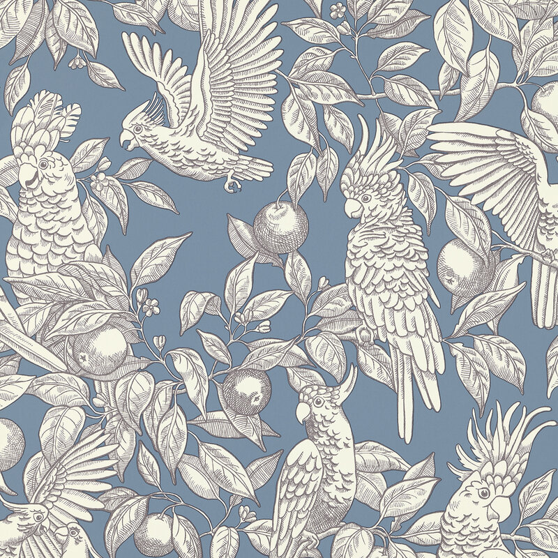 TalkAboutCockatoosBlue-1