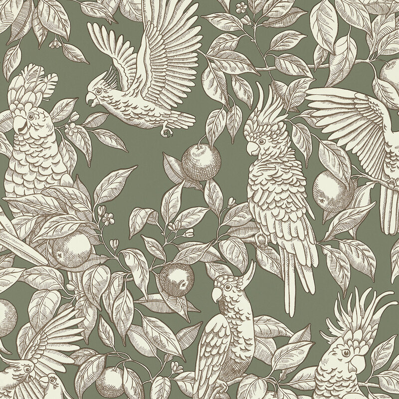 TalkAboutCockatoosGreen-1