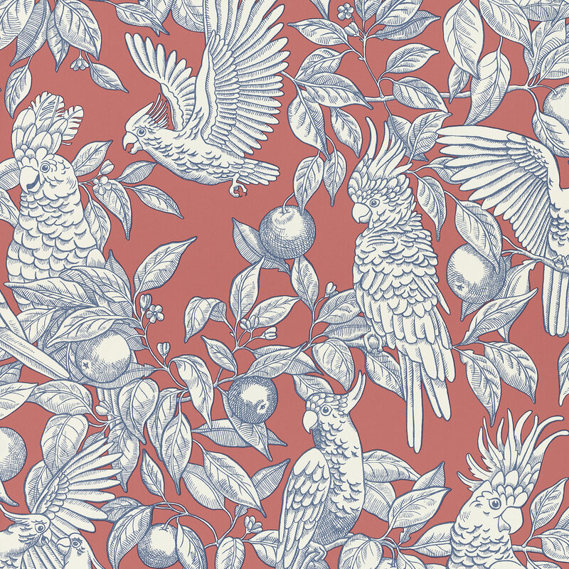 TalkAboutCockatoosRed-1