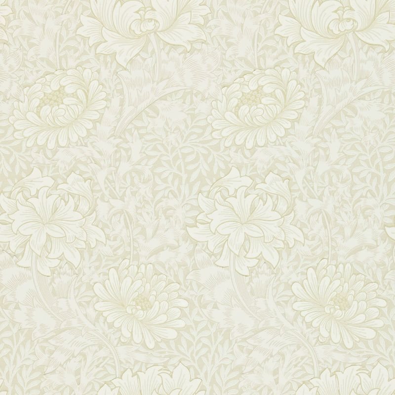 Chrysanthemum Chalk