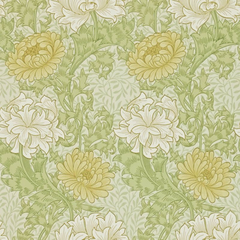 Chrysanthemum Pale Olive