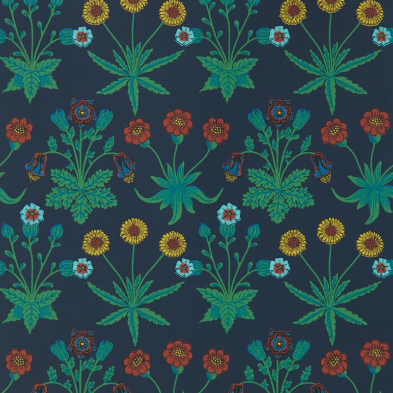 Daisy Midnight