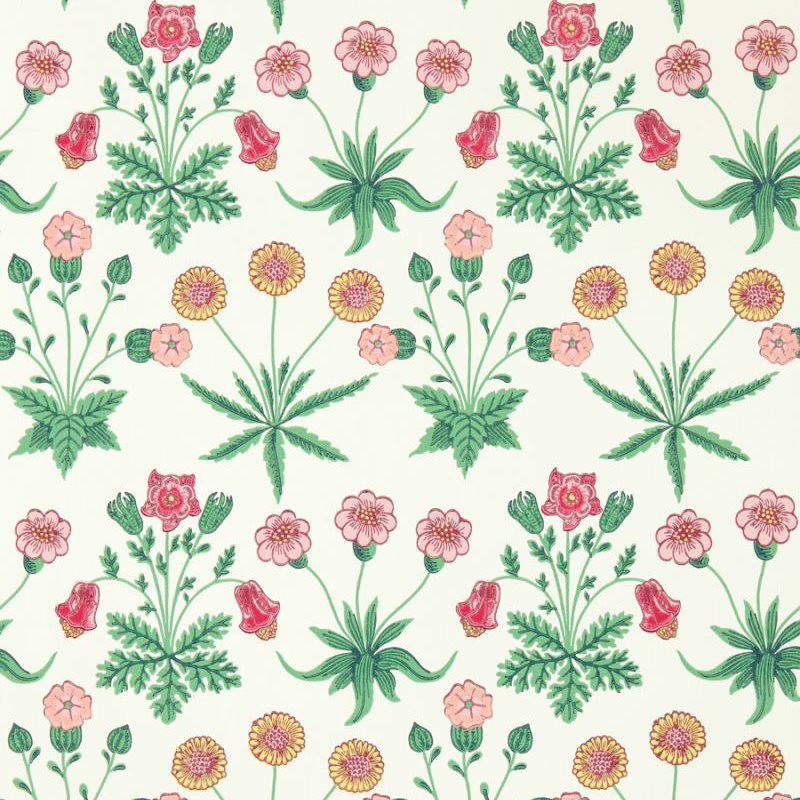 Daisy Strawberry Fields
