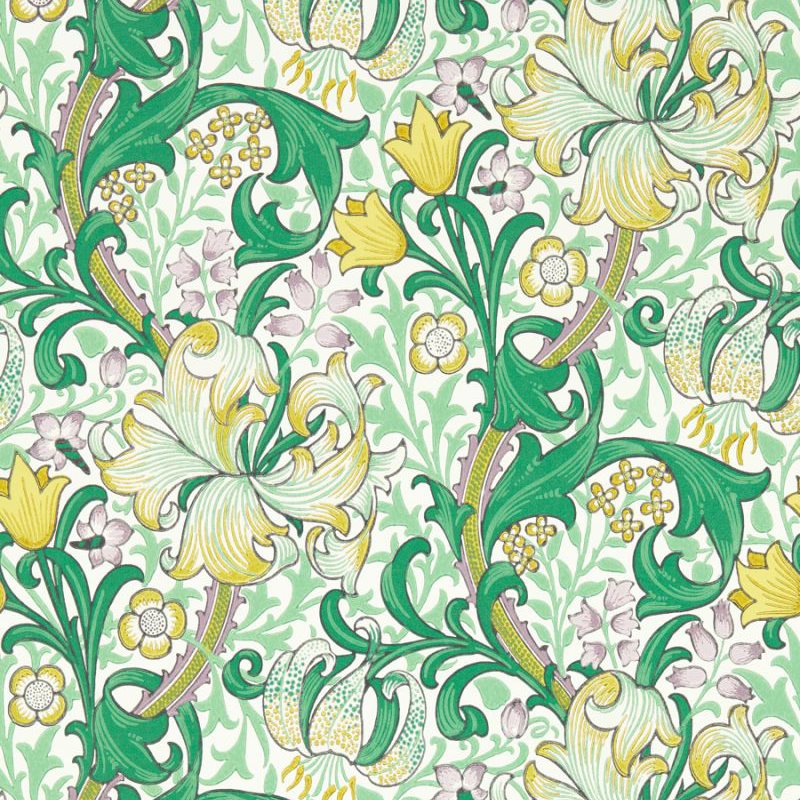 Golden Lily Secret Garden