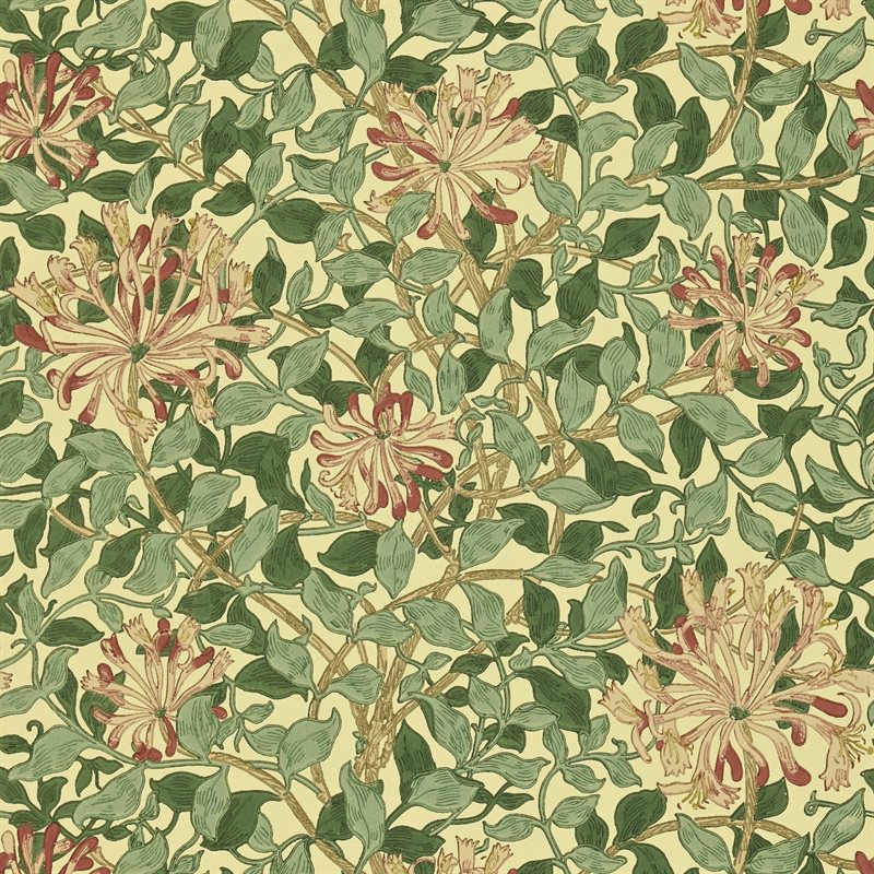 Honeysuckle Green/Coral/Pink