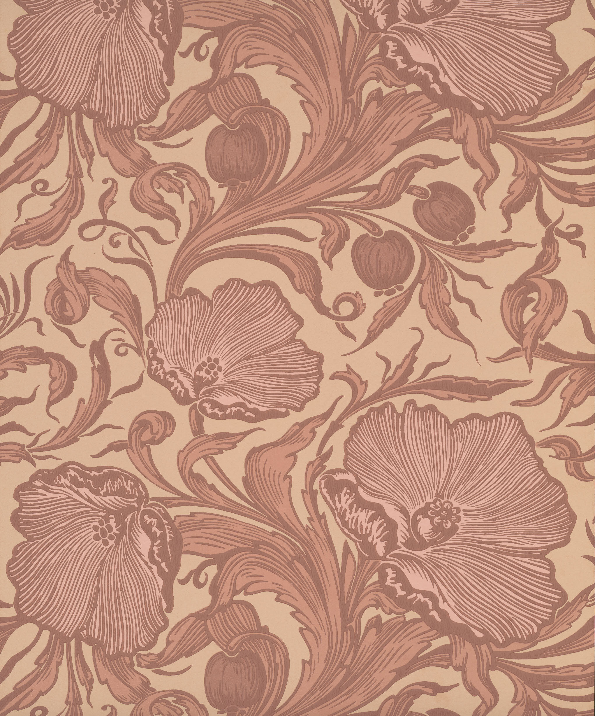 Poppy Trail Masquerade Little Greene National Trust Papers III K