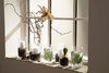 1002937-interior2