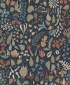 1372_StigLindberg_Herbarium_Closeup