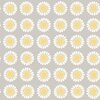 1382_TuriGramstadOliver_Daisy_Closeup