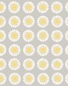 1382_TuriGramstadOliver_Daisy_CroppedImage