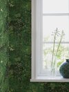1385_ArneJacobsenDikesren_Roomshot_7
